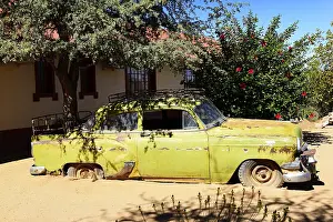 Classic Car Wreck in the Garden of the Canyon Roadhouse at Seeheim