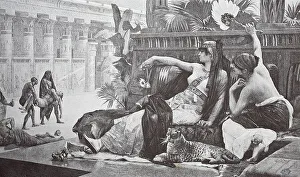 Cleopatra VII Philopator was the last active ruler of the Ptolemaic Kingdom of Egypt