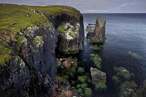 Cliff, Cliff, Shore, Coast, Rock