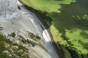 Cliffs and chalk cliffs Mons Klint