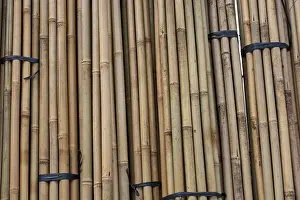 Framed Print : Close up full frame texture of vertical dry brown bamboo poles arranged as a natural fence Framed Print : Close up full frame texture of vertical dry brown bamboo poles arranged as a natural fence