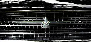 Close-up of a classic car's grille with a centered Ford Thunderbird emblem and chrome details in St