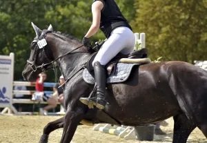 Close-up of rider, horse and equipment in the course during the competition at a show jumping tournament