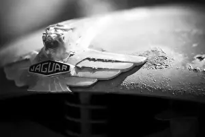 Close view of Jaguar car emblem with wings