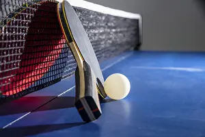 Category Wildlife DE Prints: Closeup black and red table tennis racket a white ball on the blue ping pong table with a net