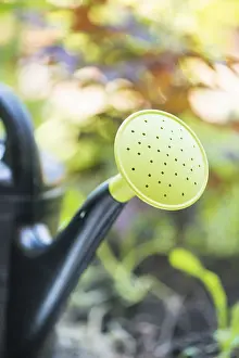 Closeup of a plastic watering can with sprinkler head