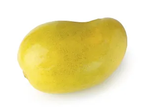 Closeup of a ripe yellow Ataulfo mango tropical fruit isolated on white background
