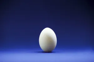 Closeup of one single hen's egg