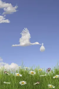 Cloud formation forming the shape of a stork bringing a baby in the sky above a flowering meadow