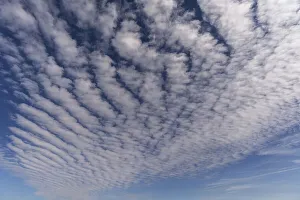 Cloud formations (Altocumulus undulatus)
