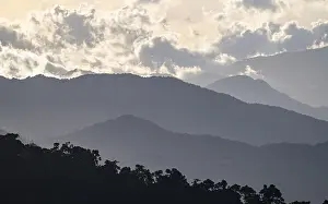 Clouds over cloud forest, mountain rainforest