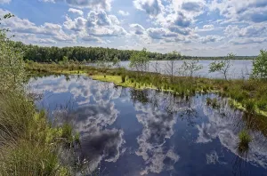 Clouds are reflected in the water surface of the Himmelmoor