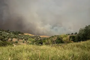 Clouds of smoke, forest fire, wildfire