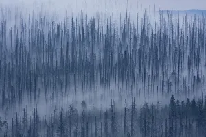 Cloudy mood on the peak of Lusen Mountain