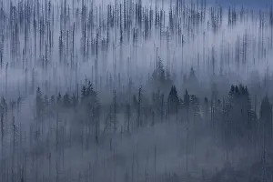 Cloudy mood on the peak of Lusen Mountain