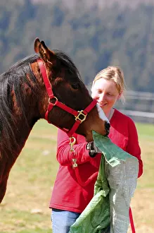 Coach with American Quarter Horse