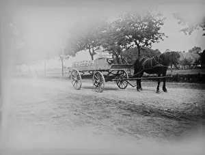 Coachman, horse-drawn carriage with milk cans