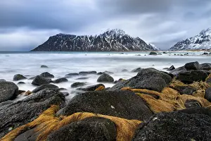 Coast at the beach of Skagsanden
