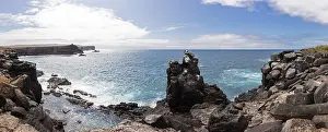 Category Historic EN Prints: Coast, Galapagos, Ecuador
