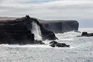 Category Historic EN Prints: Coast, Galapagos, Ecuador