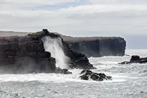 Category Historic EN Prints: Coast, Galapagos, Ecuador