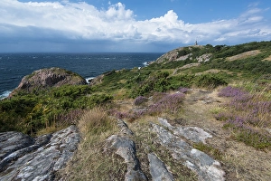 Coast, Kullaberg Nature Reserve
