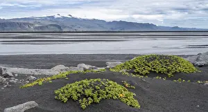 Coast near South Iceland, view of volcano