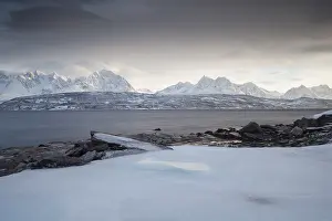 Coast at Oldervik, Ullsfjorden