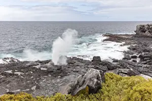 Category Historic EN Prints: Coast, Sea spray, Galapagos, Ecuador