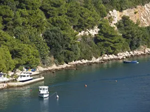 Coast with small boats and dense green vegetation along a rocky shore