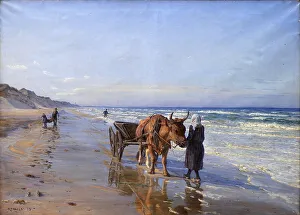 Coastal dwellers move along the beach with an ox cart looking for flotsam