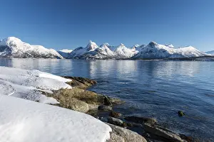 Category Scandinavia Prints: Coastal landscape by the fjord