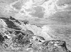 Coastal landscape on Hiddensee