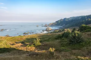 Coastal landscape with many rugged rock islands