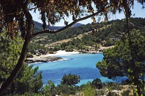 Coastal landscape view through trees of blue sea sandy beach, island of Ibiza, Balearic Islands, Spain, 1950s, Europe