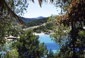Coastal landscape view through trees of blue sea sandy beach, island of Ibiza, Balearic Islands, Spain, 1950s, Europe