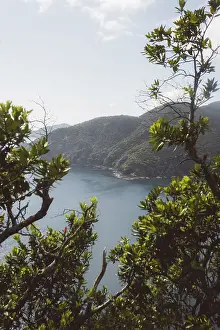 Coastline with lush greenery and views of tranquil sea and mountains