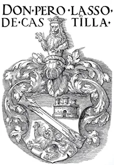 The coat of arms of Don Pedro Lasso