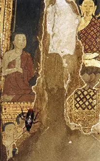 Cockroach on a damaged mural in a temple