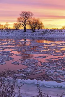 Cold winter morning on the Elbe with floating ice floes