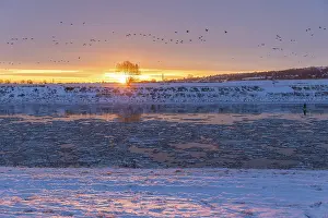 Cold winter morning on the Elbe with floating ice floes