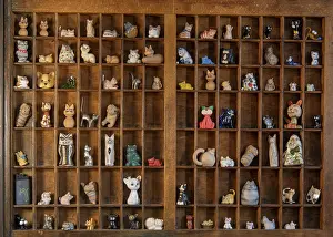 Collecting, hobby, cat, still life, italy