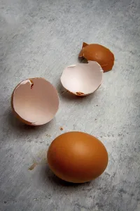 A collection of broken egg shells sits alongside a whole brown egg on a rustic gray surface