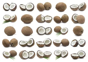 Collection of fresh coconuts isolated on white background