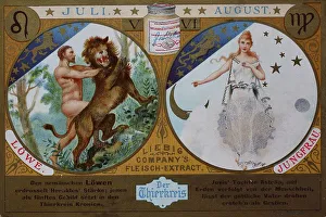Collector's picture series The Zodiac