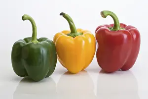 Colorful bell peppers