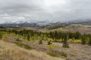 Colorful needle trees in Wyoming with snow-capped mountains