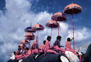 Colorful view of the Thiruvembady group in Pooram festival at Thrissur Trichur