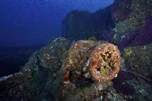 A colorful wreck in the depths of the sea with vivid corals
