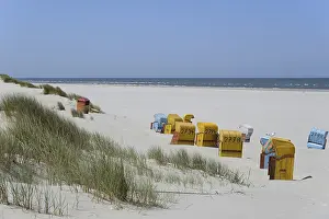 Colourful beach chairs on the beach